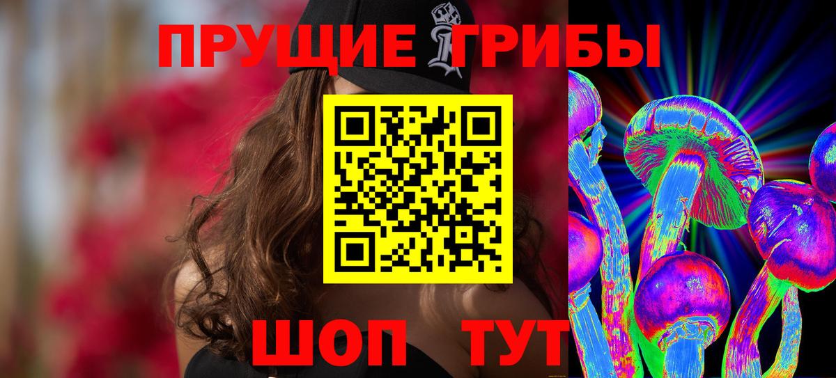 Псков  Галлюциногенные грибы Psilocybine cubensis  Вход с VPN 