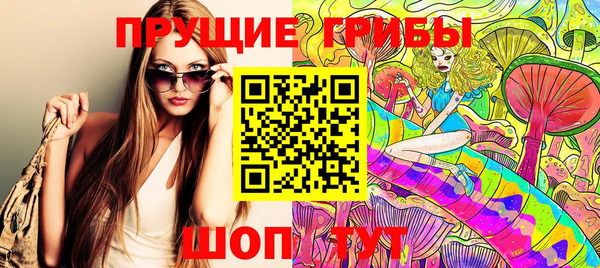 Галлюциногенные грибы Psilocybe Псков