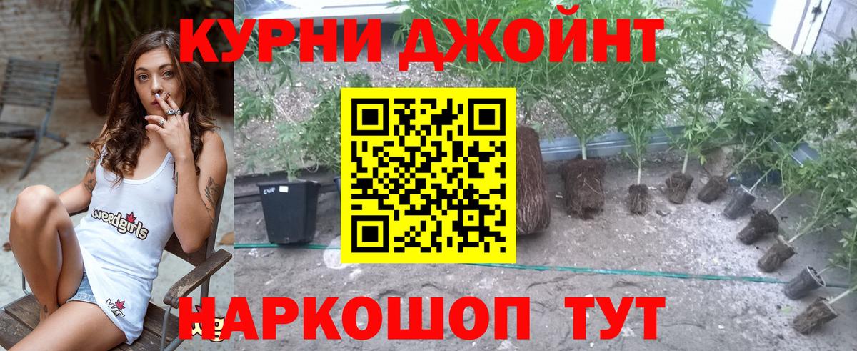 МАРИХУАНА LSD WEED  Бошки Шишки индика  Конопля планчик  Псков  Шишки марихуана Amnesia  Вход с VPN 
